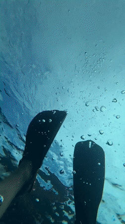 Night snorkeler spotted in TUSA gear off Nusa Penida