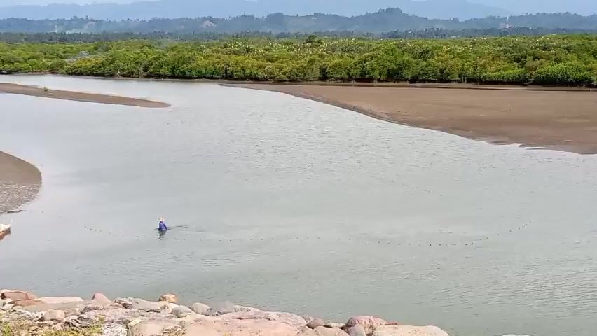 A wide shot shows a river with a person in the water on the left side, holding a net. The river is calm, with a sandy bank on the right. In the background, a dense forest of green trees stretches across the horizon, with hazy mountains beyond. The sky is overcast.
