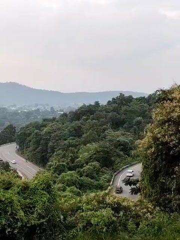 This video shows a winding road through a lush green forest. Several cars are visible on the road, some of which are driving around curves. The sky is overcast and hazy. The overall scene is one of natural beauty and peacefulness.