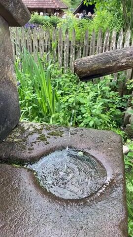 The camera is positioned at a low angle, looking up at a stone water fountain. Water trickles from a wooden spout into a shallow, round basin carved into a larger stone. Moss grows on the edges of the stone. Behind the fountain, a lush garden is visible, with green plants, a weathered wooden fence, and a blurred group of people in the background near a building with a reddish-brown roof. The water in the basin is clear and creates ripples as it is disturbed by the falling water. The overall lighting is soft and natural, suggesting an outdoor setting in daylight.