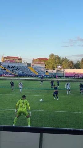 A video shows a soccer player in a blue and yellow jersey kicking the soccer ball towards the goal defended by a player in a yellow and black jersey. The ball goes into the goal and the player who kicked the ball celebrates by running across the field. The camera follows the player. The stadium is full of people. The sky is blue with some clouds.
