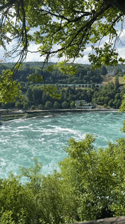 Afternoon at Rhine Falls, on the water and along the banks