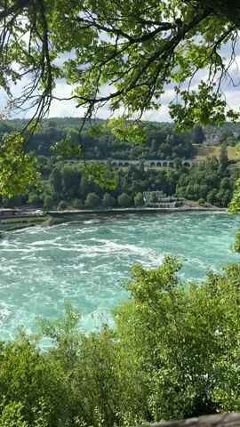 The media file captures a scenic view of the Rhine Falls in Dachsen, Switzerland. The scene is dominated by a wide, turbulent river with turquoise water, churning and creating white foam as it cascades. On the left bank, a cluster of buildings, likely restaurants or visitor centers, are situated close to the water's edge. A few small boats are visible on the river, suggesting recreational activity.

The background is a lush, forested hillside that rises steeply from the river. The trees are a vibrant green, indicating it is likely summer. A large, arched aqueduct or bridge is visible in the mid-distance, spanning across the landscape and adding a man-made element to the natural beauty. The sky is partly cloudy, with patches of blue sky visible between the white clouds, suggesting fair weather.

The image is framed by the dappled sunlight filtering through the leaves of overhanging tree branches, adding depth and a sense of being immersed in nature. The lighting suggests it is daytime, likely late morning or early afternoon. The overall impression is one of a beautiful, powerful natural landscape combined with accessible tourist infrastructure. There is no visible text in the media file.