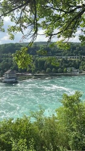 Afternoon at Rhine Falls, on the water and along the banks