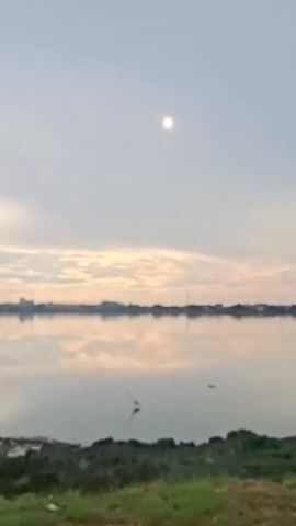 This video shows a peaceful outdoor scene by a body of water. The sun is visible in the sky, appearing as a bright circle with a halo. A single bird, possibly a heron, is standing in the shallow water. The water's surface is calm and reflects the sky and the distant shoreline, which has buildings and trees. In the foreground, there is rocky terrain and some sparse grass. The overall atmosphere is serene, with the soft light suggesting either sunrise or sunset. The video pans slightly, revealing branches of a tree in the upper portion of the frame, adding to the natural beauty of the landscape.