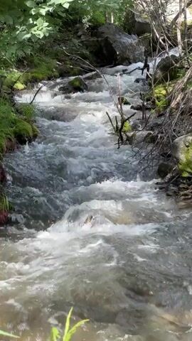 A POV shot shows a fast-flowing stream winding through a rocky, forested area. The water is a murky gray-brown, with white foam and ripples indicating a swift current. Rocks covered in moss and greenery line the banks, with fallen branches and twigs scattered throughout the stream bed. Sunlight filters through the dense green foliage overhead, casting dappled shadows. The camera appears to be moving slightly, following the flow of the water downstream.