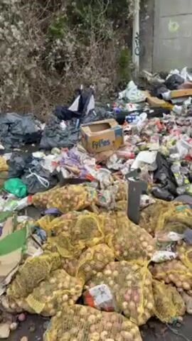 The video shows a large pile of discarded waste against a concrete wall. The waste includes bags of onions, loose carrots, black garbage bags, cardboard boxes, and various other forms of trash. The scene is outdoors and appears to be a location where waste has been illegally dumped.
