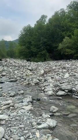 The video opens with a wide shot of a rocky riverbed featuring a shallow stream of water, flanked by lush green trees under an overcast sky. A young boy in a white t-shirt is seen from behind, crouching near the water on the left. A person wearing a red t-shirt and a hat walks away from the camera across the rocky terrain towards the trees. Subsequently, a young woman with long brown hair, glasses, wearing a dark brown top and blue jeans, stands by the water's edge, looking downwards. Another individual is partially visible on the right side of the frame.