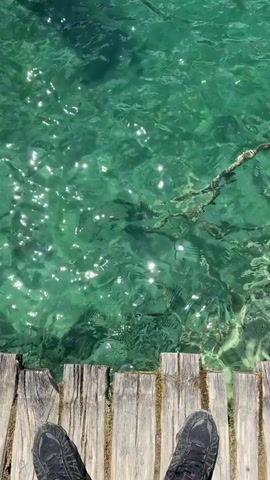 The video begins with a close-up view of crystal-clear turquoise water, with sunlight reflecting off its surface. The camera is positioned at eye level, looking down at the water from what appears to be a wooden walkway. Two feet, clad in dark athletic shoes, are visible at the bottom of the frame, indicating a person is standing on the walkway.

The camera then pans to the left, revealing more of the water's depth and the textures of submerged rocks and aquatic plants. The water is so transparent that the bottom is clearly visible.

As the video continues to pan and zoom out, a breathtaking natural scene unfolds. The turquoise water fills the foreground, leading the eye towards a cascade of waterfalls and lush green foliage. The waterfalls are of varying sizes, with some trickling down moss-covered rocks and others forming more substantial streams. The surrounding landscape is dominated by dense trees and vibrant green vegetation, creating a sense of an untouched natural paradise. The sky above is a bright blue with scattered white clouds. The overall impression is one of serene natural beauty.
