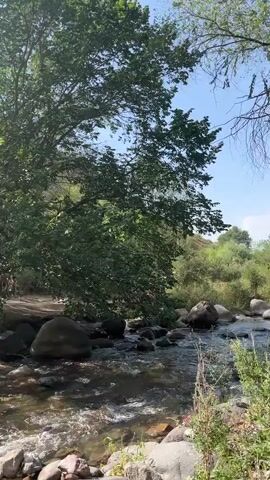 A video shows a flowing stream with rocks and trees on the banks. Several people are visible near the stream, some wading in the water and others sitting or standing on the bank. The scene appears to be a natural outdoor environment with a sunny sky.