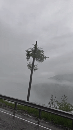 Foggy mountain roadside scene captured in Estosadok, Russia