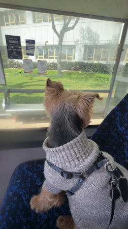 Ordinary Monday morning moments across Ramat Gan