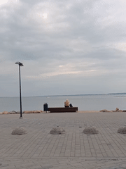Tallinn waterfront: pebble-bed plants and a quiet bench overlooking water