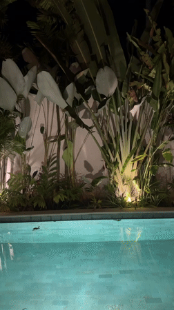Peaceful nighttime tropical garden scene captured in Ubud, Indonesia