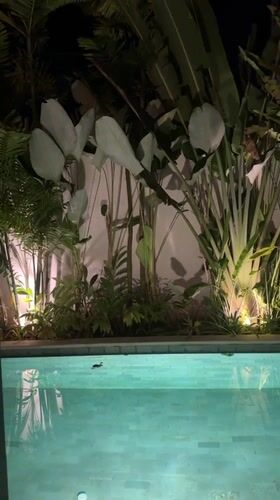 Peaceful nighttime tropical garden scene captured in Ubud, Indonesia