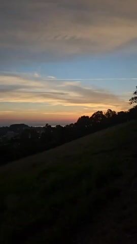 This media file captures a scenic view of St. Gallen, Switzerland, during twilight. The foreground is dominated by a dark, grassy hillside that slopes downwards and to the left, partially obscuring the view of the town below. Silhouetted trees line the crest of the hill, separating the hillside from the sky.

In the mid-ground, the town of St. Gallen is visible, with buildings clustered together. Beyond the town, a body of water, likely Lake Constance given the location, can be seen stretching towards the horizon. The horizon itself is marked by a band of soft orange and pink hues, indicating the sun has recently set.

The sky above is a blend of colors. A strip of bright blue stretches across the top, transitioning into lighter shades of blue, then soft yellows and oranges near the horizon. Wispy clouds are scattered throughout, catching the fading light. A distinct white contrail from an aircraft is visible horizontally across the sky, adding a modern element to the natural scene.

The overall mood is serene and tranquil, characteristic of a sunset or twilight setting. The lighting suggests it is late evening, shortly after sunset. There is no visible text in the media file.