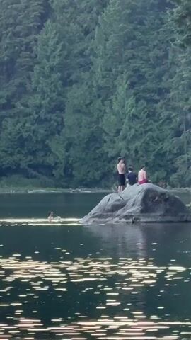 A still video clip shows a tranquil lake with a dense, green forest in the background. The water is dotted with reflections of sunlight. In the foreground, a large rock sits in the lake, and three young men are perched on top of it, looking out at the water. One of the men is standing and appears to be contemplating a jump. Further to the left, another young person is swimming in the lake, their head and shoulders visible above the water. The overall impression is one of a peaceful summer day spent enjoying nature.