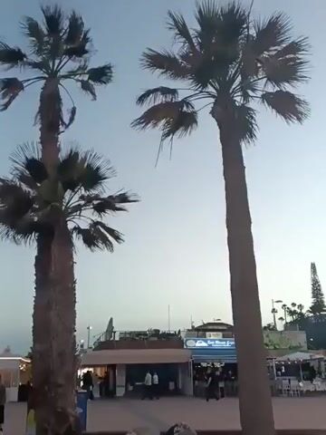 The video shows a seaside promenade at dusk. Three tall palm trees stand in the foreground. Behind them, several low buildings with lighted signs and people milling around suggest shops or restaurants. The camera pans right to reveal a wide, paved promenade filled with strolling people. Beyond the promenade is a beach with the ocean and horizon visible under a pale sky. The camera movement and the people's leisurely pace suggest a relaxed, vacation atmosphere.