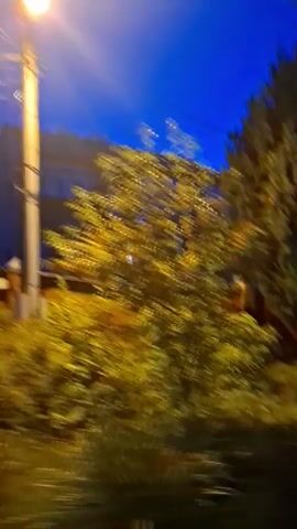 The video shows a blurry nighttime view of a suburban or rural area from a moving vehicle. Trees and foliage are prominent, with some buildings visible in the background, including a multi-story structure with lit windows and a smaller shed-like building. The sky is dark blue, indicating twilight or night. The motion blur suggests the video was taken while the vehicle was in transit, possibly on a road or driveway. There are no people or distinct actions captured in the footage. The lighting is dim, with some artificial lights illuminating parts of the scene.