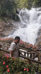 Morning at Datanla Waterfall and alpine coaster, Da Lat