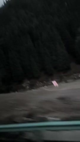 The video captures a landscape view from a moving vehicle. The scene is dominated by a dark, dense forest covering a steep mountainside. In the foreground, a muddy or wet ground is visible, with some rocks and debris. A small, rectangular pink object is situated on the ground near the tree line. The sky is overcast and appears to be twilight. The camera pans slightly, revealing a winding, rocky riverbed or dry creek bed that stretches into the distance, flanked by more trees. The overall impression is one of a rugged, natural environment, possibly in a mountainous region.