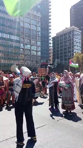 The video shows a demonstration in an urban setting. The majority of participants are women. Several women wear traditional clothing and hold what appear to be baby dolls wrapped in fabric.  Many of the women wear white masks. Some participants wave Palestinian flags.  One person is speaking through a megaphone. Tall buildings are visible in the background.