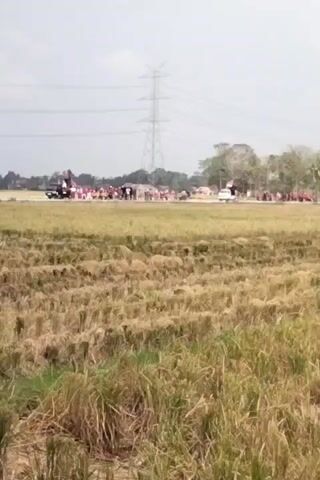 A procession of people in red and white attire walks along a paved road. Some people are on a truck. There are several motorcycles and a white car on the road. The procession is in front of a harvested rice field with dry stalks of rice. A tall electricity pylon is visible in the background, along with trees and a hazy sky.