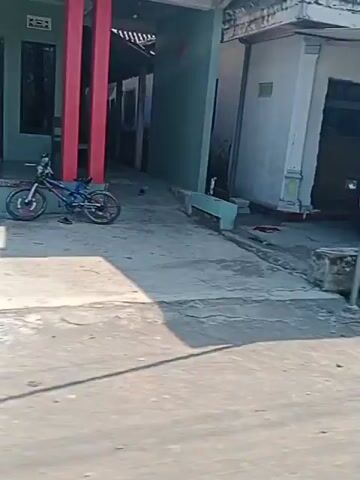 The video begins with a red pickup truck parked in front of a building. The camera then pans across a street lined with houses and palm trees. Next, a dark colored minivan is seen parked in front of a garage. The camera then focuses on a decorative wall and potted plants. Finally, the video shows a truck parked in front of a building with a large gate. The environment appears to be a rural or semi-rural area with residential buildings and some industrial elements.