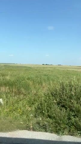 The video shows a low-angle, outdoor shot looking across a vast, grassy plain under a clear blue sky. The grass is tall and green, with some dried stalks mixed in. In the foreground, there is a strip of darker ground or road. Several utility poles with wires are visible throughout the landscape, some closer and some further away. A few distant trees are barely visible on the horizon. There is also a small, paved road that curves through the field, marked by white and black striped posts on either side. A black car is visible in the distance on the road. The footage appears to be shot from a moving vehicle.