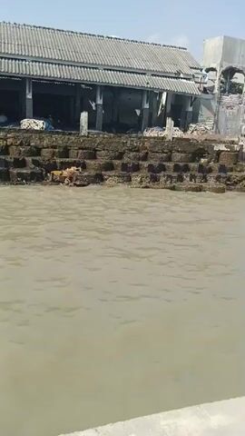 The video shows a view from a boat on murky brown water. In the background, a long, low building with a corrugated roof and an open-air structure underneath is visible. The building appears to be on a stone embankment, with waves lapping at the base. There are some piles of white material that look like ropes or nets on the ground behind the embankment. The sky is clear and blue. The camera is moving slightly, suggesting the boat is in motion. The scene is likely a waterfront area, possibly a harbor or industrial zone. There are no people clearly visible in the video.