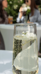 Upscale food event features champagne, chocolates in Bishkek