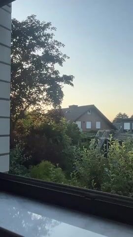 This is a vertical video capturing a view from a window looking out onto a residential backyard in Oelde, Germany. The scene is illuminated by the soft, warm light of either sunrise or sunset. A large tree with dark leaves dominates the left side of the frame, its branches partially obscuring the clear, pale blue sky. Behind the tree, a brick house with a tiled roof is visible. The house has white-framed windows and a modern outdoor staircase leading to an upper level. Adjacent to this house, another rooftop with solar panels is partially visible. The foreground is filled with lush green foliage, including trees and bushes, some with small blue flowers. The overall atmosphere is tranquil and serene, suggesting a peaceful moment of observation. There is no visible text in the media.