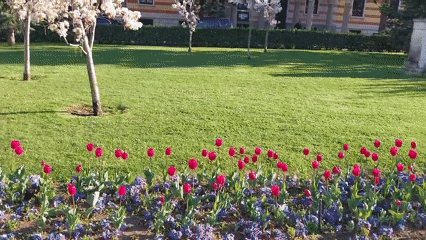 Spring afternoon documented across Sofia parks and architecture