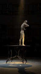Solo aerial acrobat performs routine at Moscow circus venue