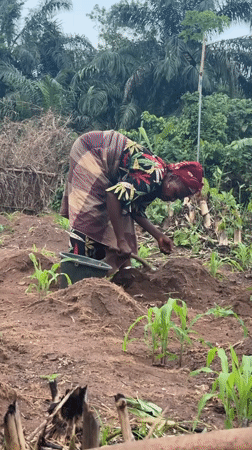 Rural farming activities documented in Nigerian agricultural communities