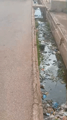 Afternoon street life documented in Sabon Tasha, Nigeria