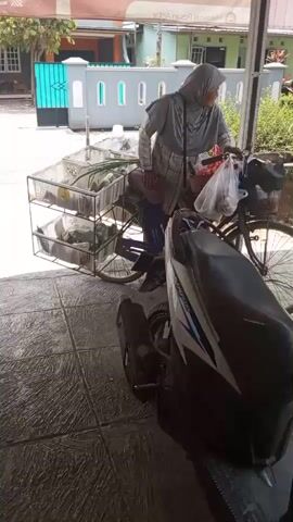 A woman wearing a grey hijab and a plaid shirt stands next to a bicycle loaded with baskets of produce. She is smiling at the camera. The bicycle is parked in front of a motorcycle. The scene appears to be outdoors, with buildings visible in the background.