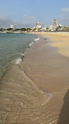 A moderately choppy ocean meets a sandy beach. Waves gently break upon the shore. A thin line of white foam trails back into the clear, shallow water. The sand appears wet near the water's edge, transitioning to dry, golden sand further up the beach. Scattered across the sand are several birds, appearing to be seagulls, some standing and others in motion. In the background, several tall buildings rise against a pale blue sky with scattered clouds. Palm trees are visible between the buildings and along the beach. The overall scene is one of a typical coastal environment.