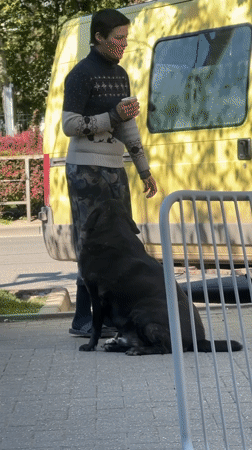 Woman walks dog while drinking coffee on Krasnodar sidewalk