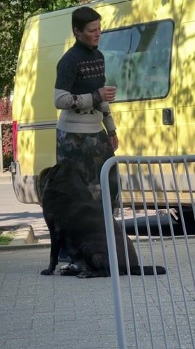 Woman walks dog while drinking coffee on Krasnodar sidewalk