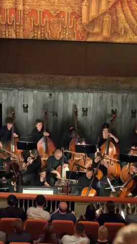 A vertical video shows an orchestra playing on a stage in front of an audience. The orchestra members are dressed in black and are playing cellos and double basses. The stage has a backdrop of wooden panels and an ornate, golden curtain above. The audience members are seated in red chairs in the foreground, with their backs to the camera. The lighting is dim, with stage lights illuminating the orchestra. The video is a continuous shot of the orchestra performing.