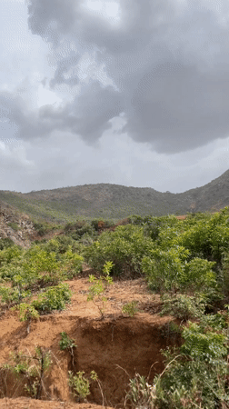 Rural Nigerian landscape documented under cloudy afternoon skies