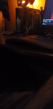 Late-night desk session with screens on and a cat nearby