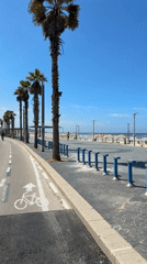 Sunny beach promenade scene captured in Tel Aviv-Yafo