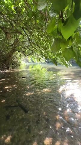 The media file depicts a serene natural scene of a shallow, clear river flowing gently in a wooded area. The camera is positioned close to the water's edge, looking downstream. Overhanging branches laden with vibrant green leaves create a natural canopy, dappling the water's surface with sunlight. The riverbed is visible, paved with smooth, rounded pebbles and stones, hinting at the clean, unpolluted state of the water. The water itself reflects the lush greenery of the surrounding foliage and the bright sky, creating shimmering patterns of light on the surface. The scene is tranquil and idyllic, evoking a sense of peace and natural beauty. The time of day appears to be daytime, likely late morning or early afternoon, given the bright sunlight and the clear visibility of the surroundings. The weather seems to be fair and sunny, contributing to the peaceful atmosphere. The location cues, combined with the provided context of Mevoot HaHermon Regional Council, Israel, suggest a natural, possibly semi-rural or protected area. There are no people or specific objects clearly identifiable in the foreground or background, emphasizing the focus on the natural landscape. The overall impression is one of undisturbed nature, a calm and refreshing environment. There is no visible text in the media file.
