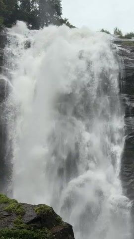 A vertical, eye-level shot captures a powerful waterfall cascading down a rocky cliff face. The water is white and frothy, creating a dense mist that obscures much of the rock behind it. The top of the waterfall is wider, with trees visible in the background on the left. The bottom of the waterfall is wider still, with a rocky ledge and green vegetation in the foreground. The lighting is overcast, suggesting a cloudy day. The video is a loop, repeating the same few seconds of the waterfall in motion.