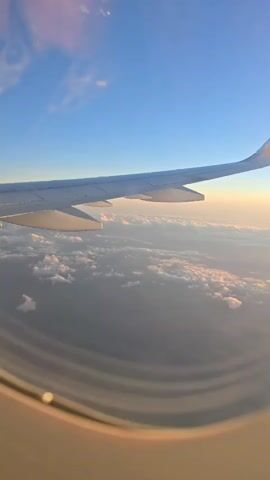 The video captures an aerial view from an airplane window, showcasing the plane's wing against a clear sky. The main subject is the white airplane wing, extending from the left of the frame towards the right, with its wingtip visible. A logo or symbol, possibly a stylized bird, is present on the orange section of the wingtip. Below the wing, a vast expanse of soft, fluffy clouds stretches across the horizon. The clouds are illuminated with warm, golden and pink hues, indicative of either sunrise or sunset. The sky above is a brilliant clear blue, fading into lighter shades towards the horizon where it meets the cloud cover. The bottom portion of the video shows the curved frame of the airplane window, with some light reflections visible. The scene evokes a sense of peaceful flight above the world.