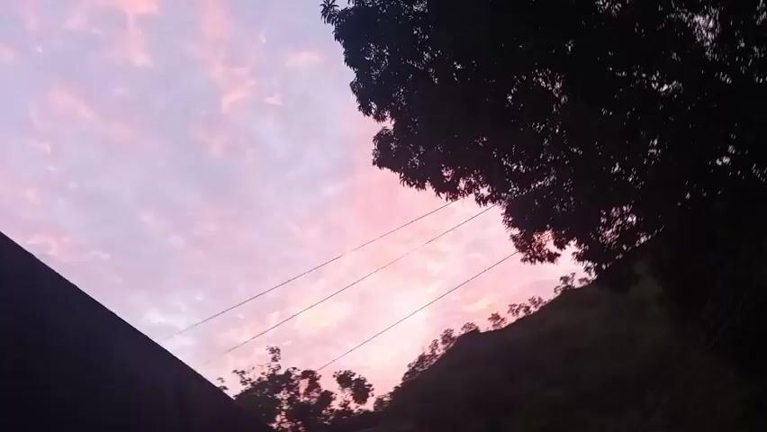 The video displays a sky with hues of pink and purple, indicative of a sunset or sunrise. Silhouettes of trees and power lines are visible against the colorful sky. The camera appears to be handheld and is moving, causing the image to shake and rotate. The lower portion of the frame shows a dark, angled object, possibly a roof or wall, and hints of greenery. In the latter part of the video, parts of buildings and more trees become clearer as the camera continues its movement.