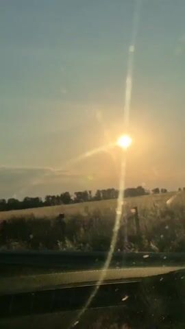 The video shows a view from inside a vehicle, looking out at a sun-drenched landscape. The sun is a bright, golden orb, positioned high in the sky and casting a lens flare across the frame. The sky is a clear, pale blue, with a few wispy clouds.

In the foreground, the view is partially obstructed by the vehicle's windshield, which has streaks and dust on it. A silver metal guardrail runs along the bottom of the frame.

The middle ground features a vast, golden field, likely crops that have been harvested or are dry from the sun. Beyond the field, a line of trees forms a dark silhouette against the bright sky. As the vehicle moves, more trees come into view, some of them appearing lush and green, with the sun's rays filtering through their leaves.

The time of day appears to be late afternoon or early evening, given the low angle of the sun and the warm, golden light. The weather is clear and sunny. The setting evokes a rural or agricultural area, possibly a highway or main road in Eleshnitsa, Bulgaria, judging by the provided context. The overall mood is peaceful and scenic, capturing the beauty of a sunny day in the countryside. There is no visible text in the media.