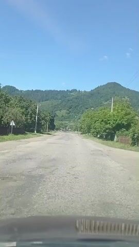 THE VIDEO SHOWS A VIEW FROM INSIDE A VEHICLE TRAVELING DOWN A PAVED ROAD LINED WITH TREES. THE ROAD APPEARS TO BE IN POOR CONDITION WITH SEVERAL POTHOLES VISIBLE. ON EITHER SIDE OF THE ROAD ARE FENCES AND POLES, POSSIBLY FOR UTILITIES. IN THE BACKGROUND, THERE ARE GREEN HILLS OR MOUNTAINS COVERED WITH TREES UNDER A CLEAR BLUE SKY. THE SCENE IS BRIGHT AND APPEARS TO BE DAYTIME.